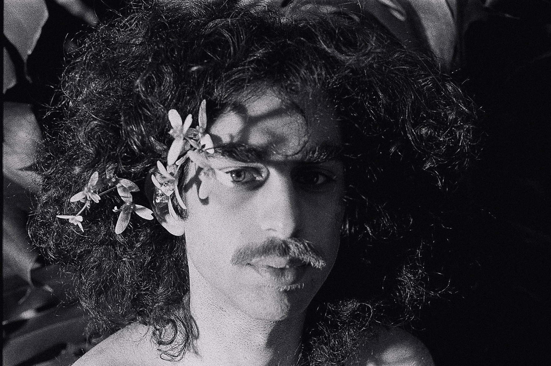 Sessa’s <i>Grandeza</i> Combines North American Rock and Classic Brazilian Pop